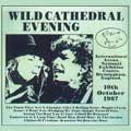 Wild Cathedral Evening